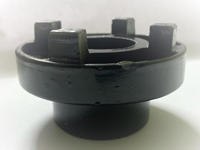 Flexible Coupling